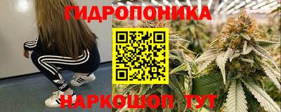 мет Новозыбков
