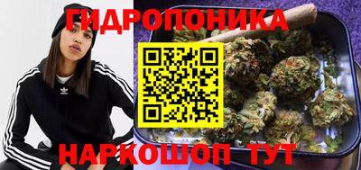 метадон Новодвинск