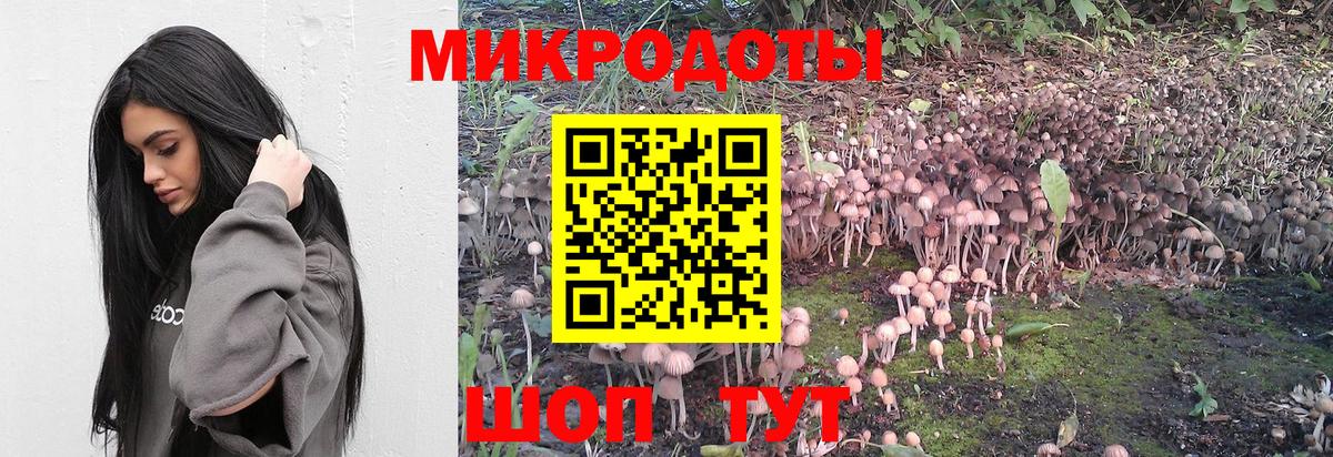 Галлюциногенные грибы прущие грибы  Вход с VPN  Тайшет 